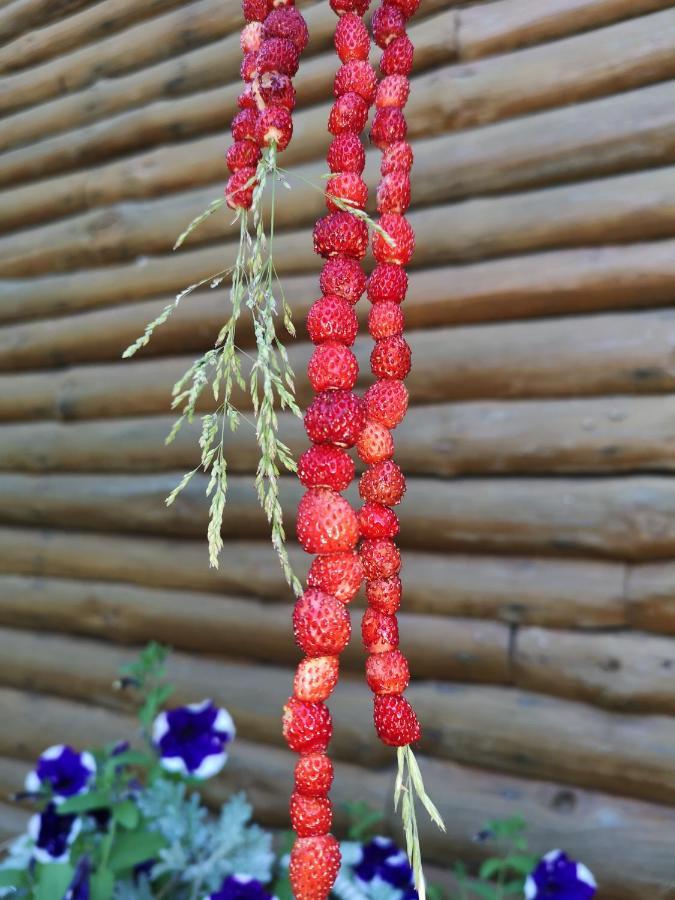 Kryzbarkas Guest House Deguciai  ภายนอก รูปภาพ